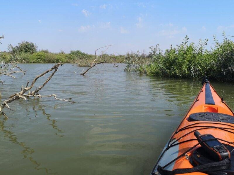 Primăvara în Delta Argeșului