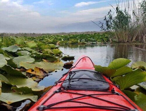 Caiac rosu - excursie delta dunarii