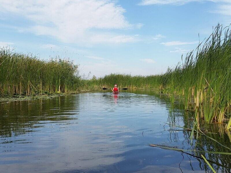 Excursie delta dunarii - caiac in departare