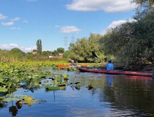 Excursie delta dunarii - spre Tulcea