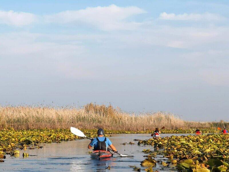 Excursie delta dunarii Parches - spre lacul Câșla