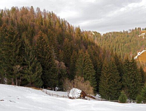 Peisaj de iarna in Moieciu de Sus - casuta