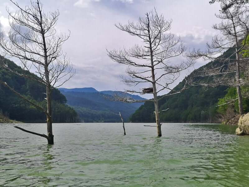 Lacul siriu vazut de pe apă