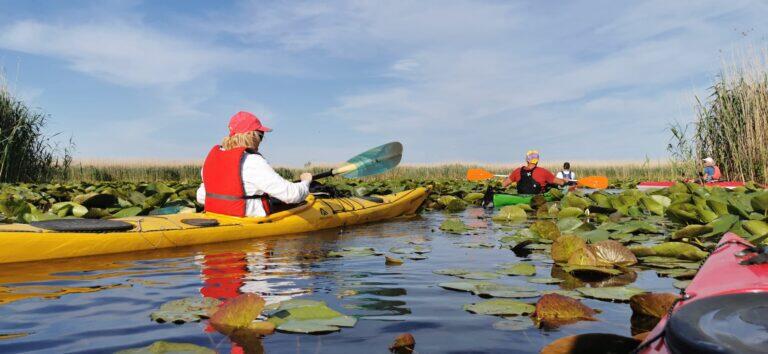 Plimbare cu caiacele in Delta Dunarii